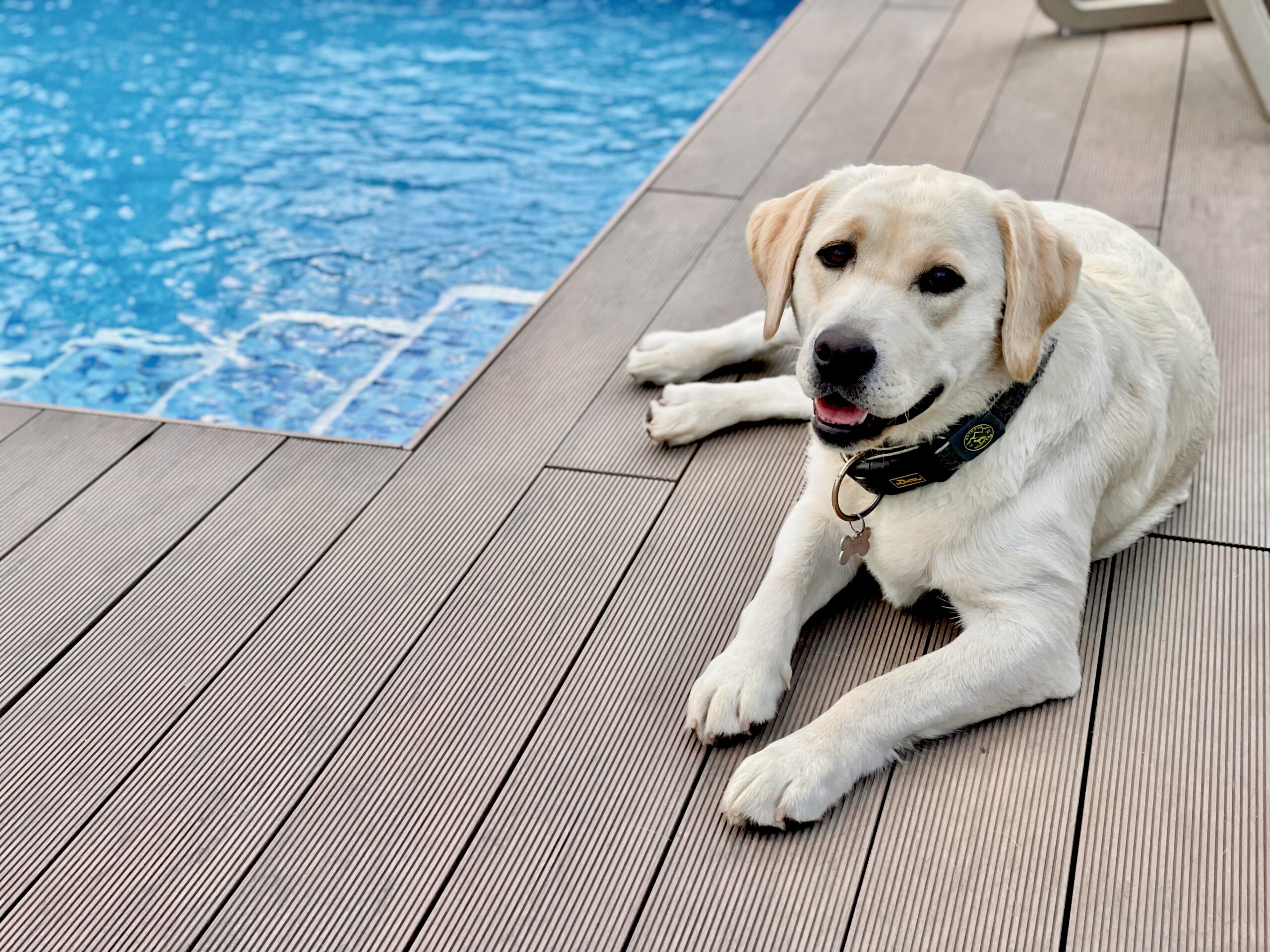 WPC-Terrassendiele in der Nähe von Schwimmbädern